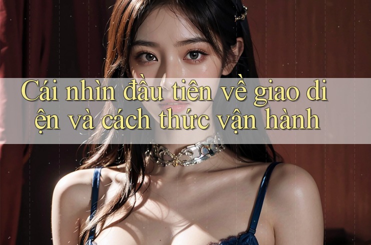 Cái nhìn đầu tiên về giao diện và cách thức vận hành