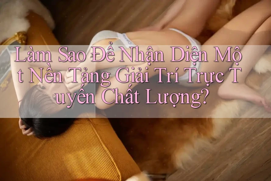 Làm Sao Để Nhận Diện Một Nền Tảng Giải Trí Trực Tuyến Chất Lượng?