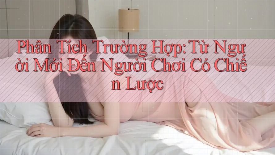 Phân Tích Trường Hợp: Từ Người Mới Đến Người Chơi Có Chiến Lược Phân Tích Trường Hợp: Từ Người Mới Đến Người Chơi Có Chiến Lược